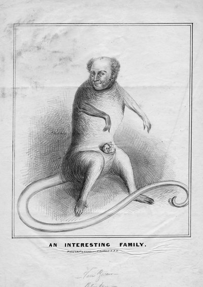 An Interesting Family by American School