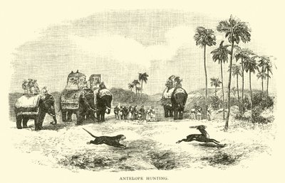Antelope Hunting by American School