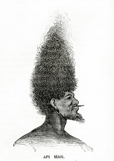 Api Man, Illustration from Appletons Journal, May 4, 1872 by American School