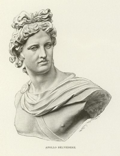 Apollo Belvedere by American School
