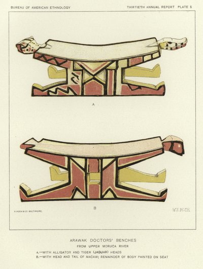 Arawak Doctors Benches from Upper Moruca River by American School