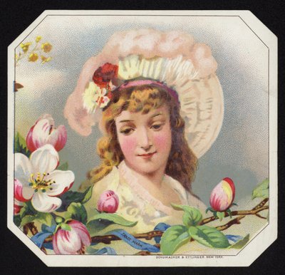 Attractive Lady by American School