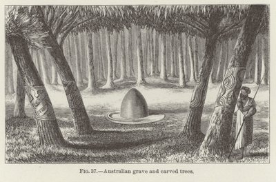 Australian Grave and Carved Trees by American School