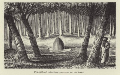 Australian Grave and Carved Trees by American School