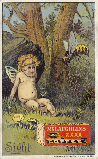 Bee attacking putto by American School