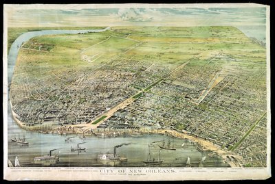 Birds Eye View of New Orleans and Suburbs, 1873 by American School
