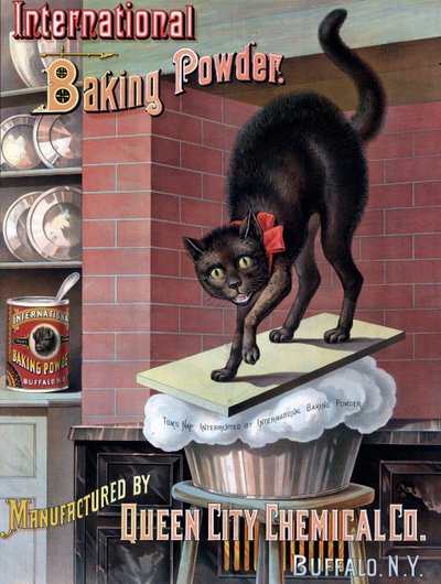 Black Cat Awakened by Rising Bread Dough, c.1885 by American School