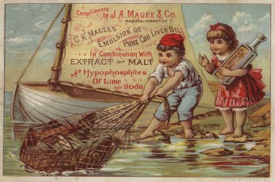Boy Pulling-In Fishing Net by American School