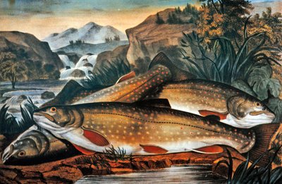 Brook Trout- Just Caught, Published by Currier & Ives, c.1870 by American School