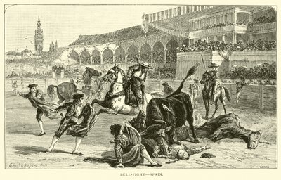 Bull-fight, Spain by American School
