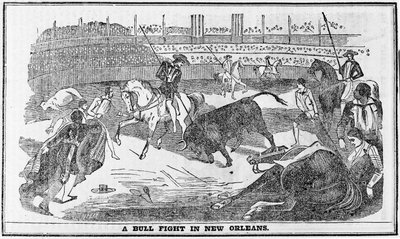 Bull fight in New Orleans, from Davy Crocketts Almanack, Boston, 1849 by American School
