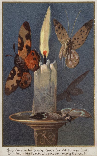 Butterflies Around a Burning Candle by American School