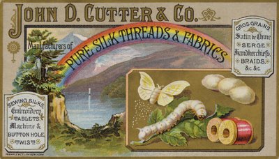 Butterfly and Caterpillar by American School
