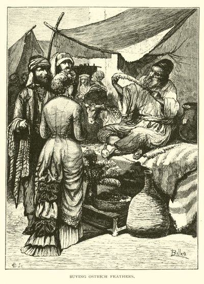 Buying Ostrich Feathers by American School
