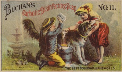 Children Washing Dog by American School