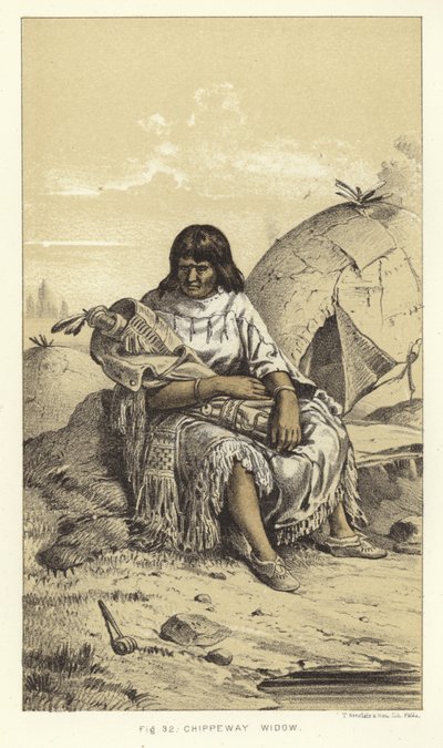Chippewa Widow by American School