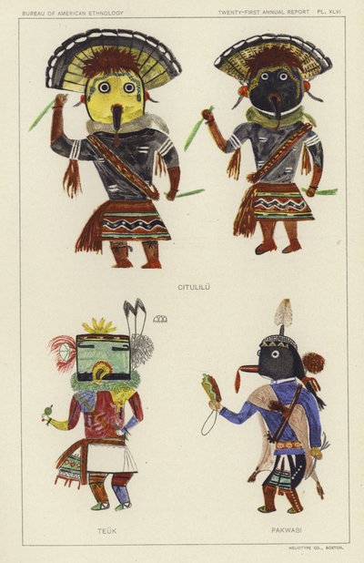 Citulilu, Teuk, Pakwabi by American School
