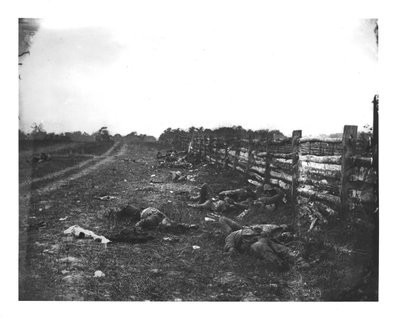 Confederate Dead along the West Side of Hagerstown Pike, Battle of Antietam, 19th September 1862 by American School
