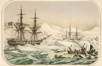 Crew of a Whaling Ship Being Attacked by Walrus by American School