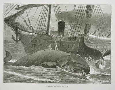 Cutting up the Whale, from The American Whale Fishery by American School