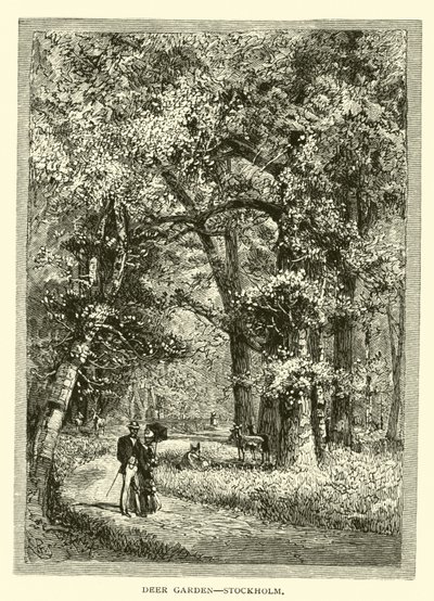 Deer Garden, Stockholm by American School