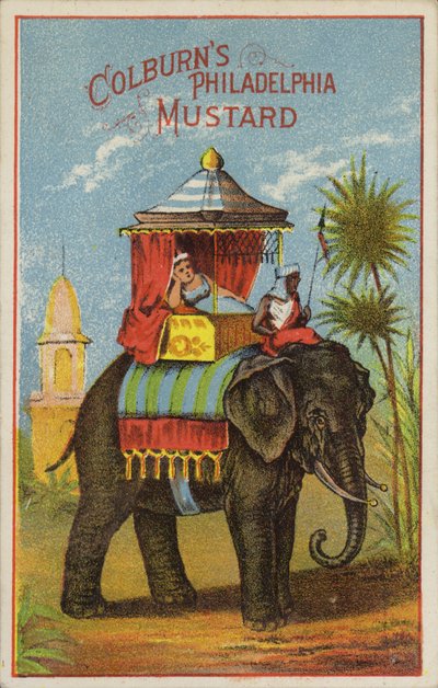 Elephant Ride by American School
