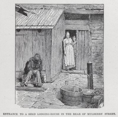Entrance to a Shed Lodging-House in the Rear of Mulberry Street by American School