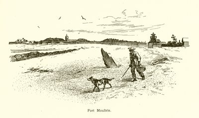 Fort Moultrie by American School