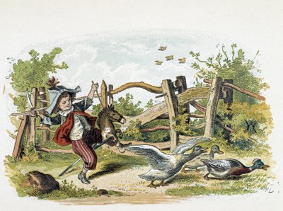 Game Field in 