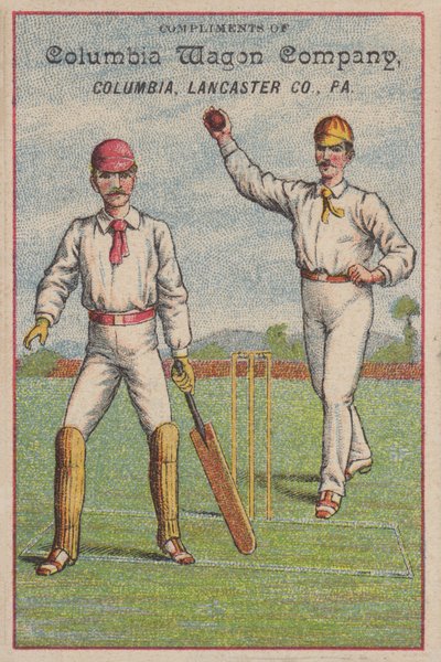 Game of cricket by American School
