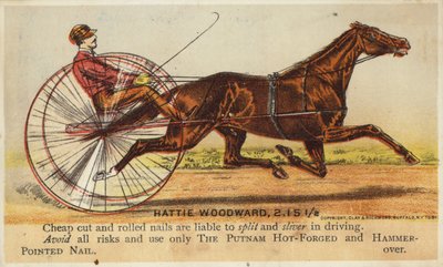 Gentleman Horse-Driving Very Fast by American School