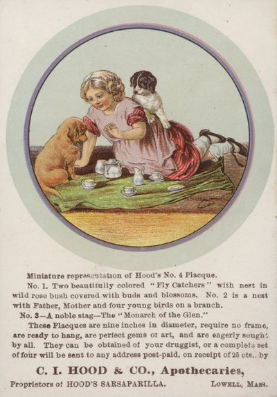 Girl Sitting on Blanket with Puppies by American School