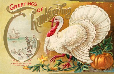 Greetings of Thanksgiving by American School