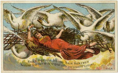 Halls Vegetable Sicilian Hair Renewer, Restores Gray Hair to its original color and prevents baldness, Recto by American School