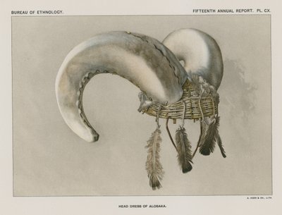 Head Dress of Aloska by American School