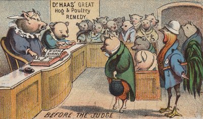Hog in Court by American School