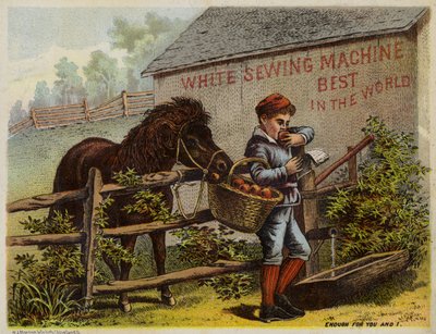 Horse and Boy Eating Apples by American School