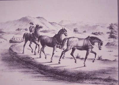 Horses Pulling a Canal Boat on Erie Canal by American School
