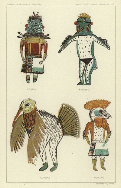Hospoa, Paszro, Koyona, Kowako by American School