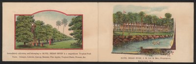 Hotel Trade Card by American School