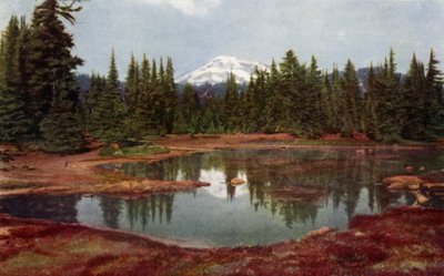 In the Oregon Mountains by American School
