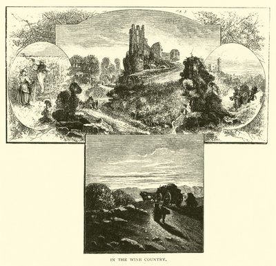 In the Wine Country by American School