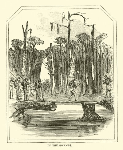 In the swamps, March 1863 by American School