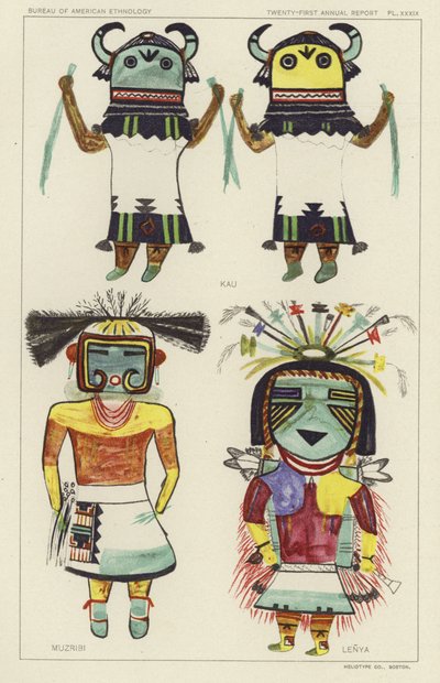 Kau, Muzribi, Lenya by American School