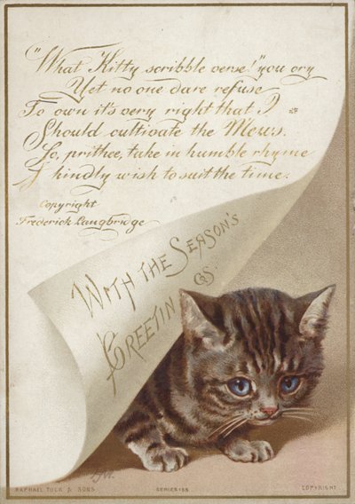 Kitten Hiding Under Letter by American School