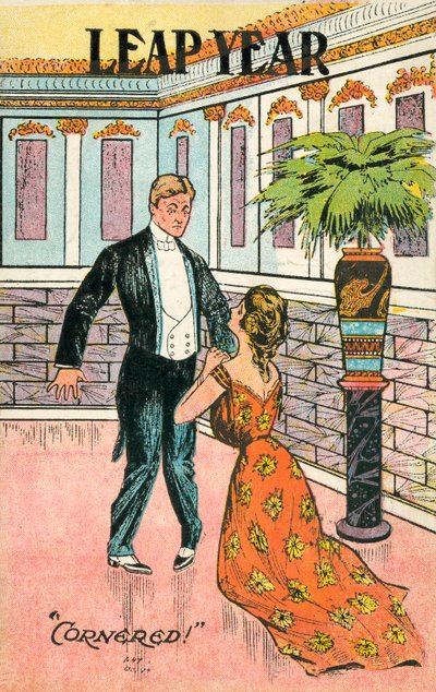 Leap Year Proposal by American School