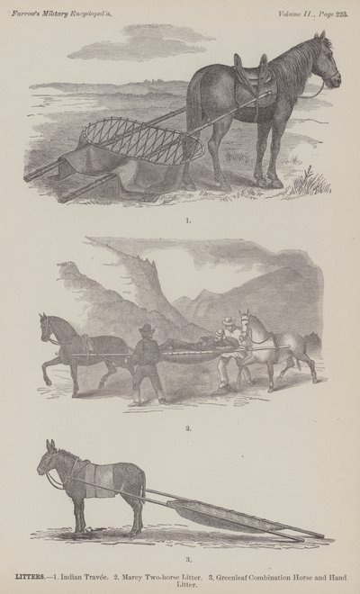 Litters by American School