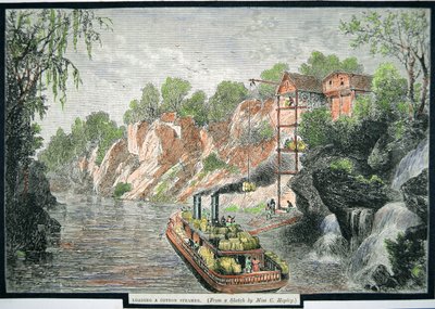 Loading the steamboat with cotton bales from a plantation by American School