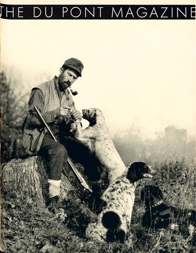 Man with Hunting Dogs by American School