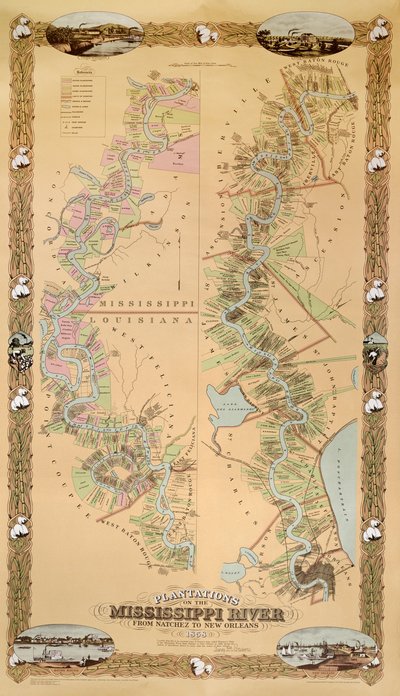 Map depicting plantations on the Mississippi River from Natchez to New Orleans by American School